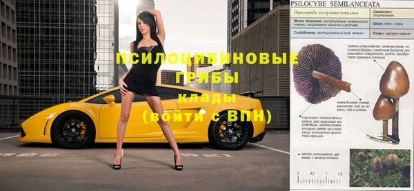 соль курить ск Дмитровск