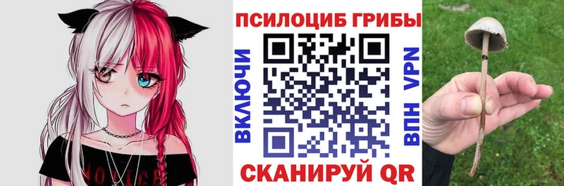 Галлюциногенные грибы MAGIC MUSHROOMS  Купить где  Краснотурьинск 