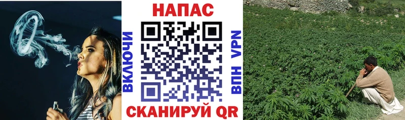 Бошки Шишки White Widow  Купить закладки  Краснотурьинск 